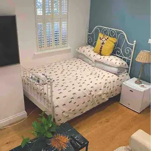 Stylish Modern Studio, Mock Georgian House, Heart Of Trendy Hackney & Accommodatie bij particulieren Londen